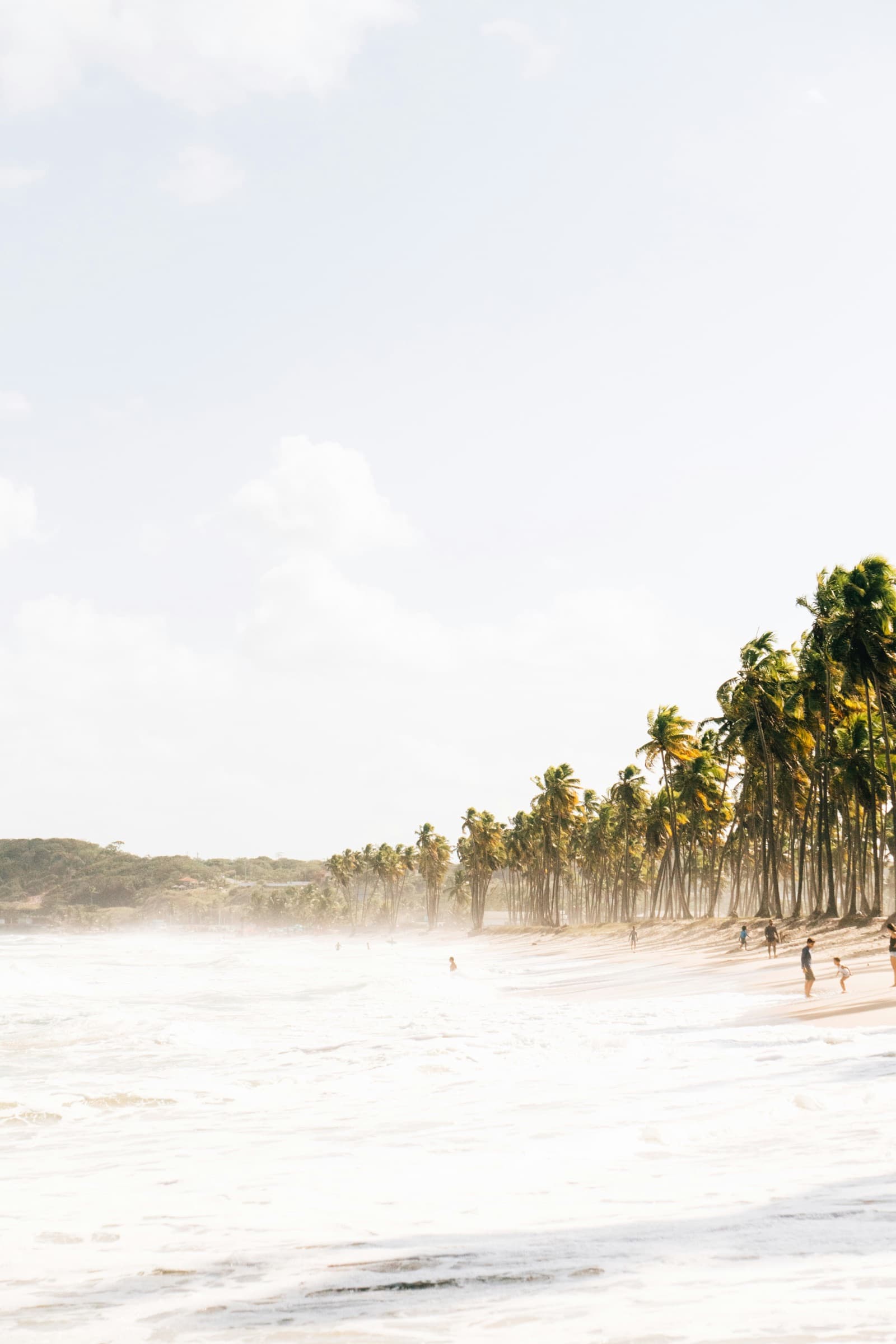 Praia do Nordeste com coqueiros e ondas brancas