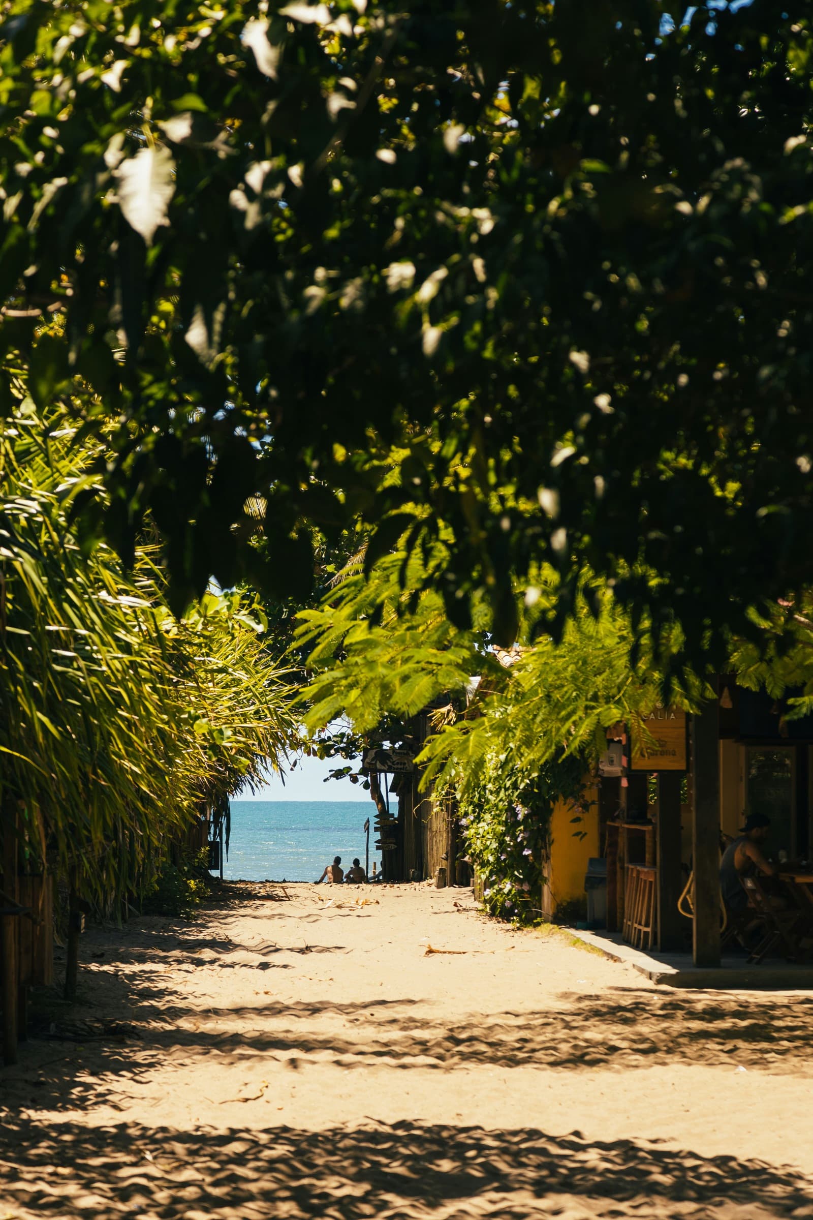 Rua de vila praiana arborizada com vista para o oceano